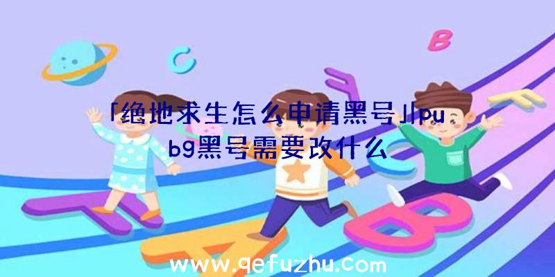 「绝地求生怎么申请黑号」|pubg黑号需要改什么